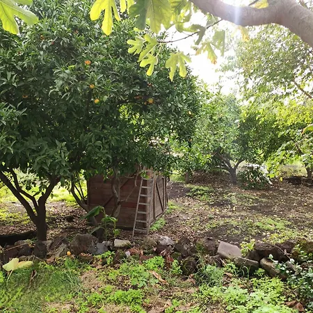 Apartamento La Casa Di Nonna Ida Estrómboli