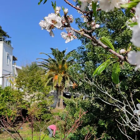 La Casa Di Nonna Ida Estrómboli